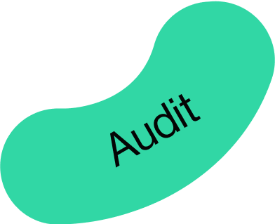 Known for Audit